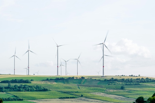 Environmental Sustainability